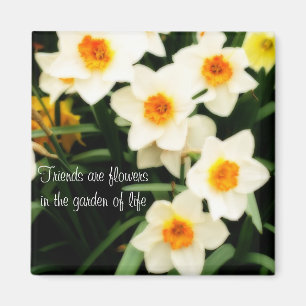 Friends are Flowers Quote Daffodils Magnet