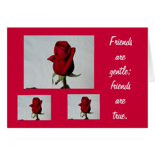 Friends are Gentle Card