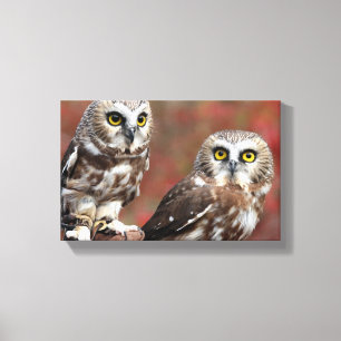 Friends Canvas Print