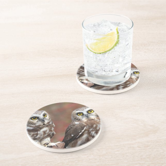 Friends Coaster (Side)