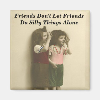 Friends Don't Let Friends Do Silly Things Alone Magnet