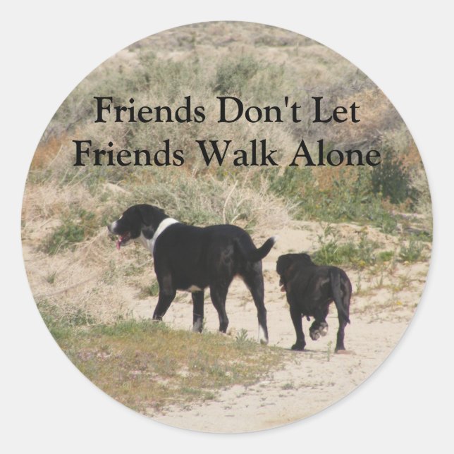 Friends Don't Let Friends Walk Alone Classic Round Sticker (Front)