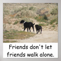 Friends Don't Let Friends Walk Alone