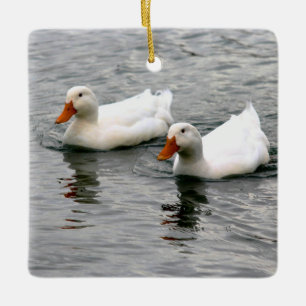 Friends For Life Ceramic Ornament
