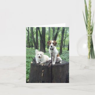 Friends Forever Card