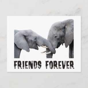 Friends Forever Elephants hugging / kissing Postcard