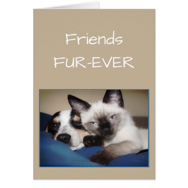 FRIENDS FOREVER OR Fur-ever Dog & Cat Humour (Front)