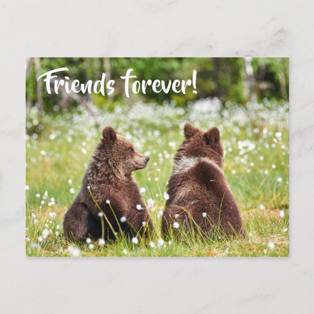 Friends forever postcard (Front)