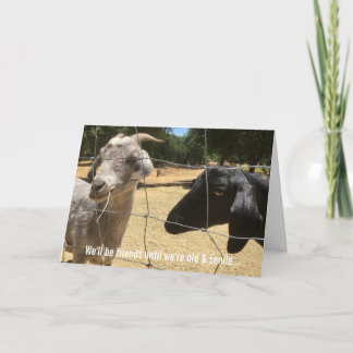 Friends Forever Silly Card