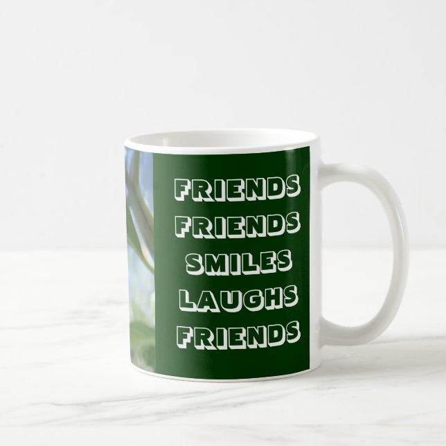 FRIENDS FRIENDS MUG SMILES LAUGHS (Right)