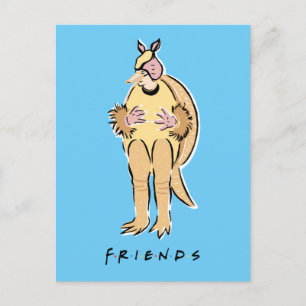 FRIENDS™ Holiday Armadillo Invitation Postcard