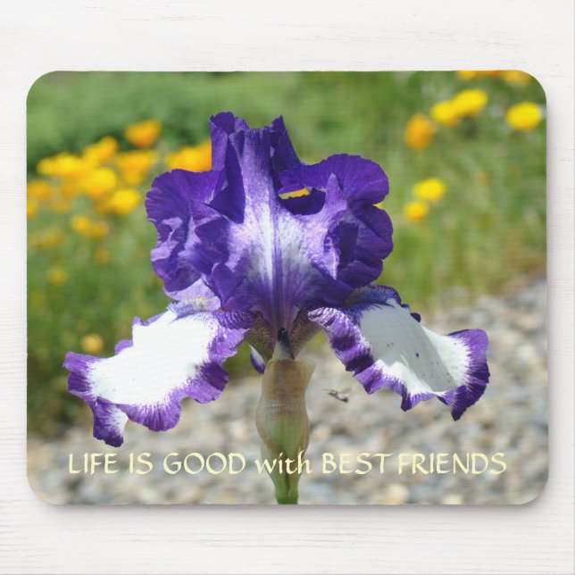 FRIENDS IRISES Iris Flowers MOUSE PADS MOUSEPAD (Front)