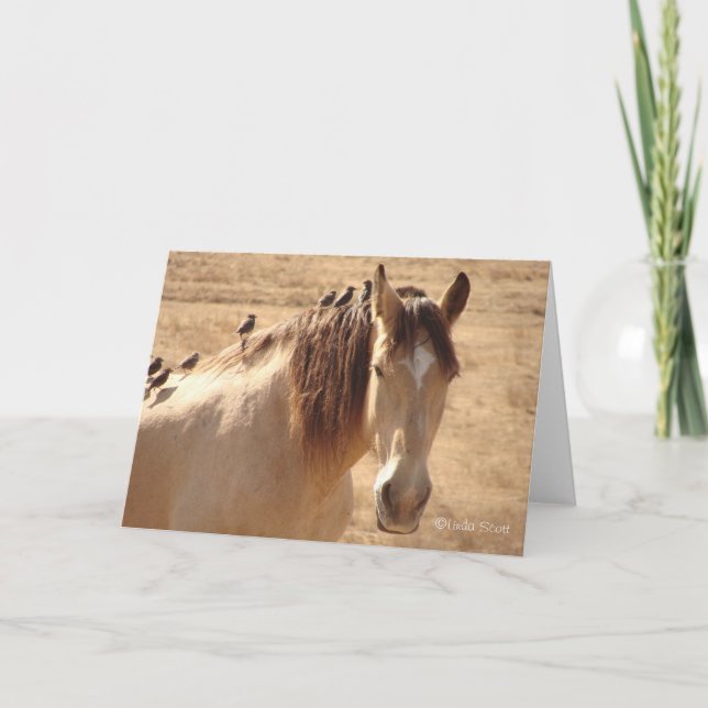 Friends ©Linda Scott Card (Front)