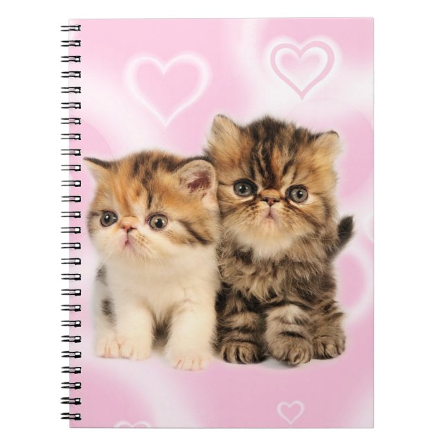 Friends notebook (Front)