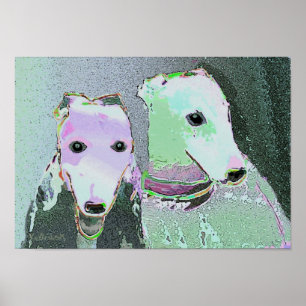 "Friends of a different colour"   Poster