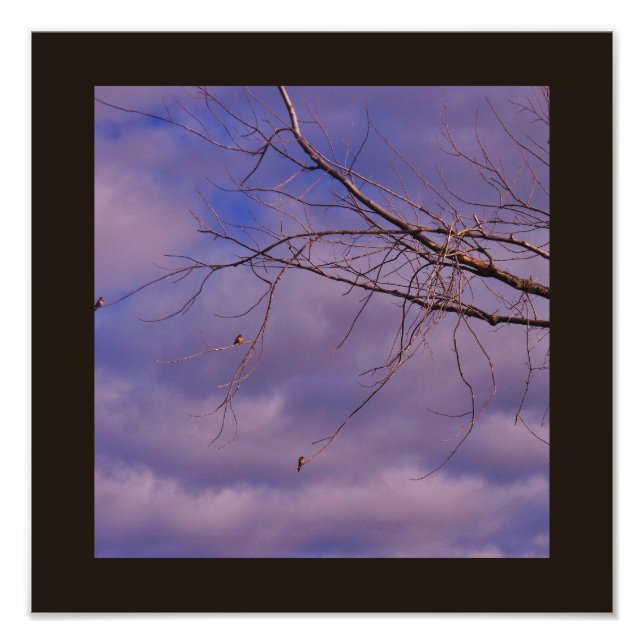 Friends Photo Print (Front)