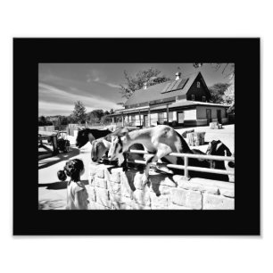 Friends Photo Print