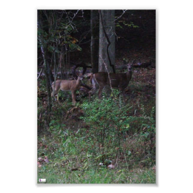 Friends Photo Print (Front)