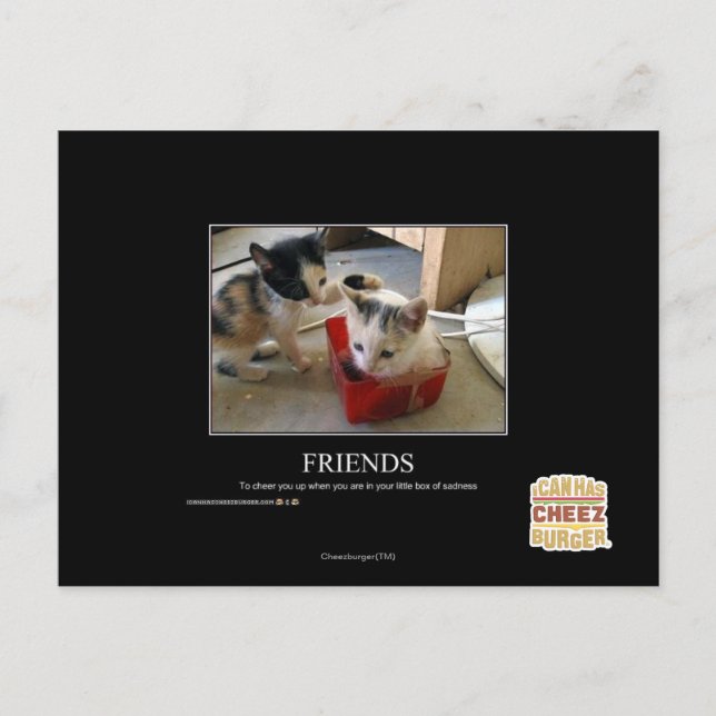 Friends Postcard (Front)