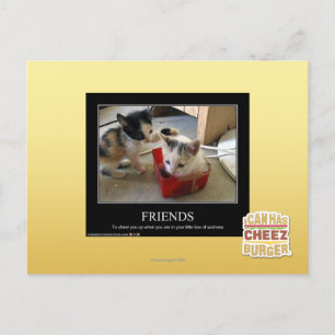 Friends Postcard