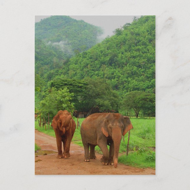 Friends Postcard (Front)