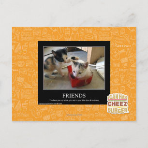 Friends Postcard
