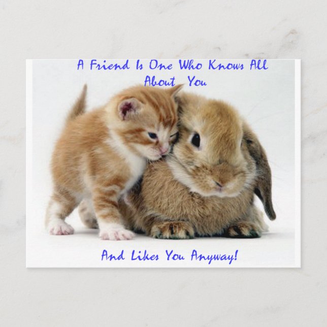 Friends Postcard (Front)