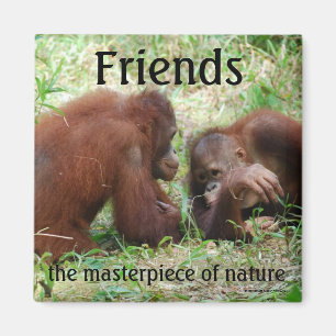 Friends square magnet