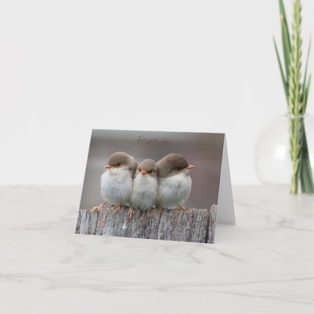 Friends Stick Together Note Cards (Front)