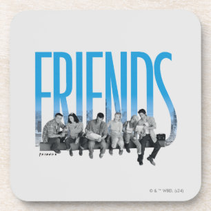 FRIENDS™   The Gang Coaster