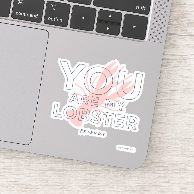 FRIENDS™ | You are My Lobster (Detail)
