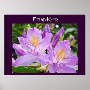 Friendship art prints Purple Rhodies Flowers