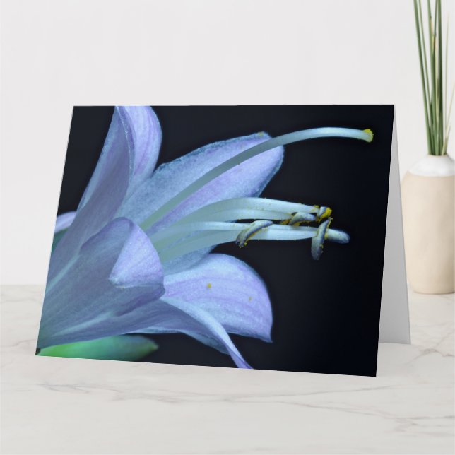 Friendship - Beautiful Macro Hosta Flower Photo Card (Front)
