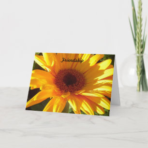 Friendship Card