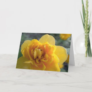 friendship card