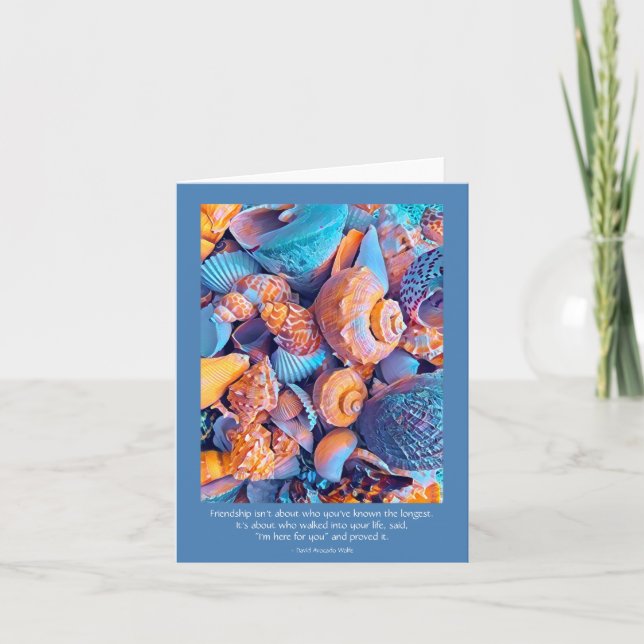 Friendship Card with Seashells Image (Front)