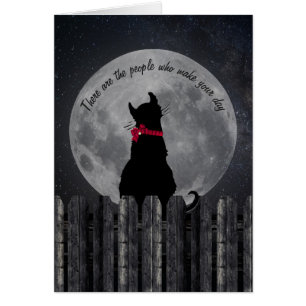friendship-cat in the moonlight on fence