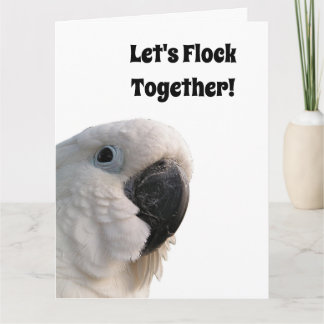 Friendship Day Cockatoo Flock Together Funny Photo Card