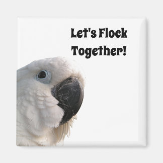 Friendship Day Cockatoo Flock Together Funny Photo Magnet