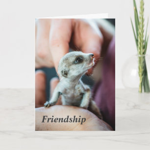 Friendship - FKMP Seasons Greetings Holiday Card