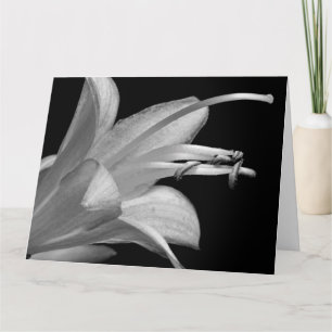 Friendship in Black and White Greeting Card