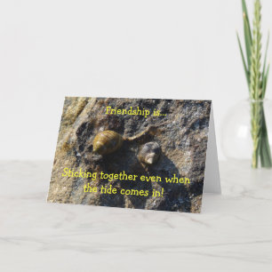 "Friendship is..." note card