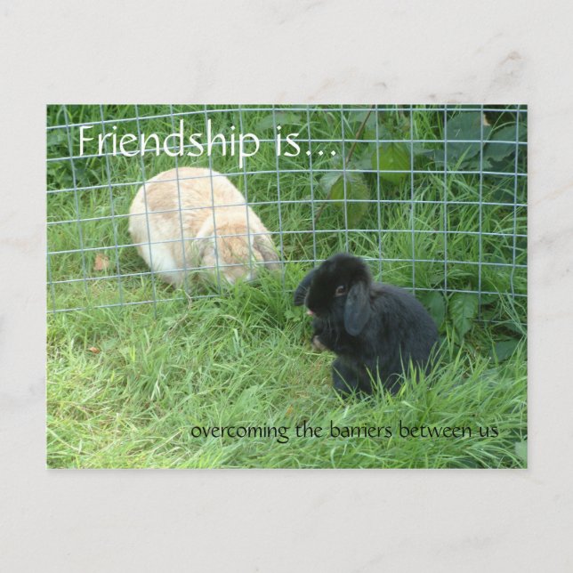Friendship is..., overcoming the barriers between postcard (Front)