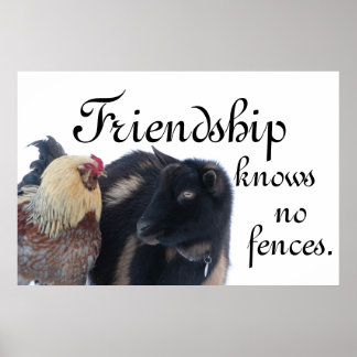 FRIENDSHIP KNOWS NO FENCES - GOAT - ROOSTER POSTER