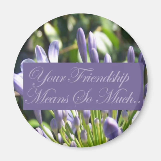 Friendship Magnet (Front)