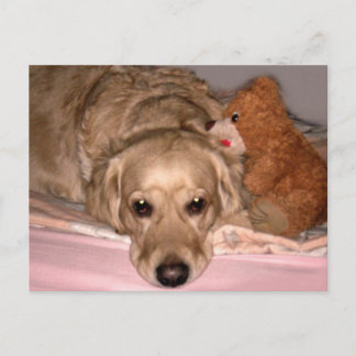 Friendship Postcard