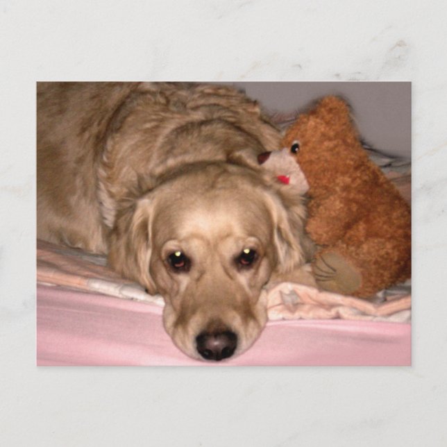 Friendship Postcard (Front)