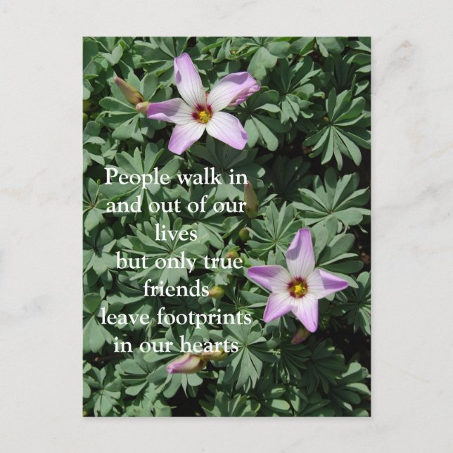 Friendship - Purple flowers Postcard (Front)