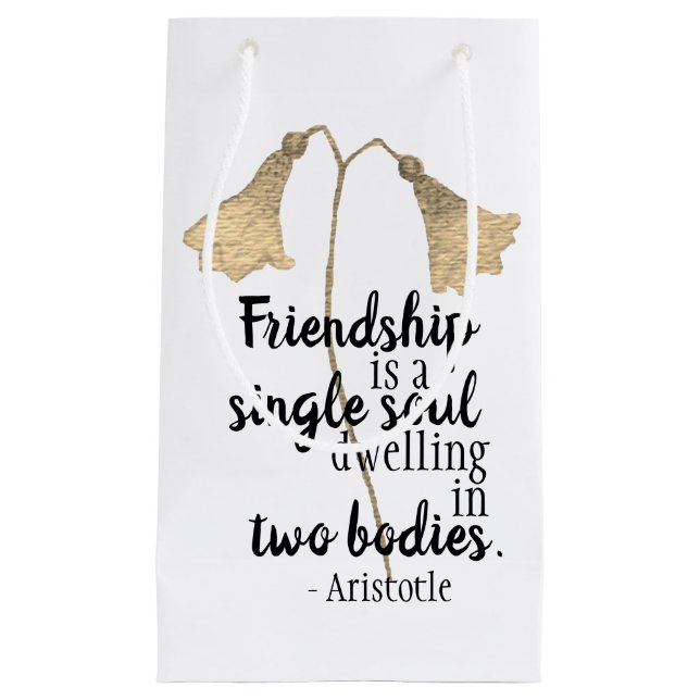 Friendship Quote Flowers Small Gift Bag (Front)