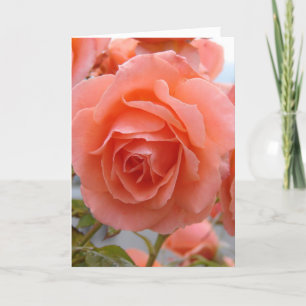 Friendship Rose Card